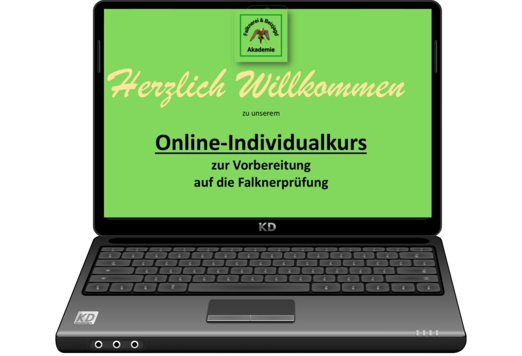 Online-Individualkurs