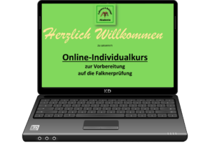 Online-Individualkurs