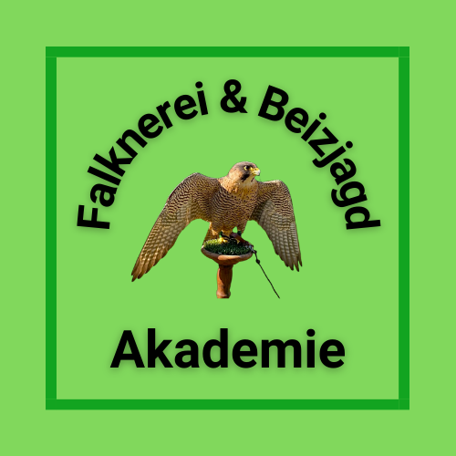 Falknerei & Beizjagd-Akademie