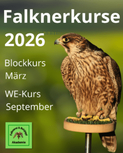Falknerkurse 2026
