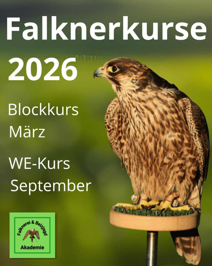 Falknerkurse 2026
