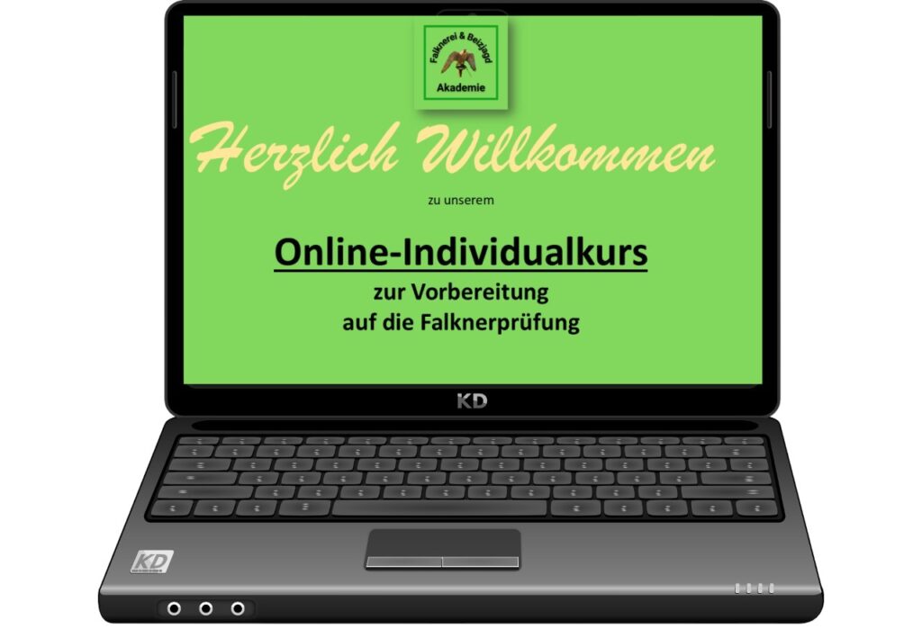 Online-Individualkurs