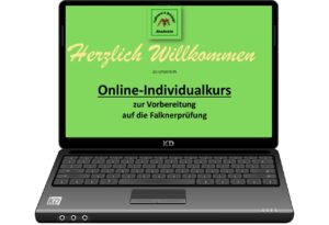 Online-Individualkurs