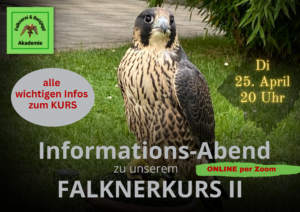 Info-Abend Falknerkurs