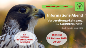 Informations-Abend