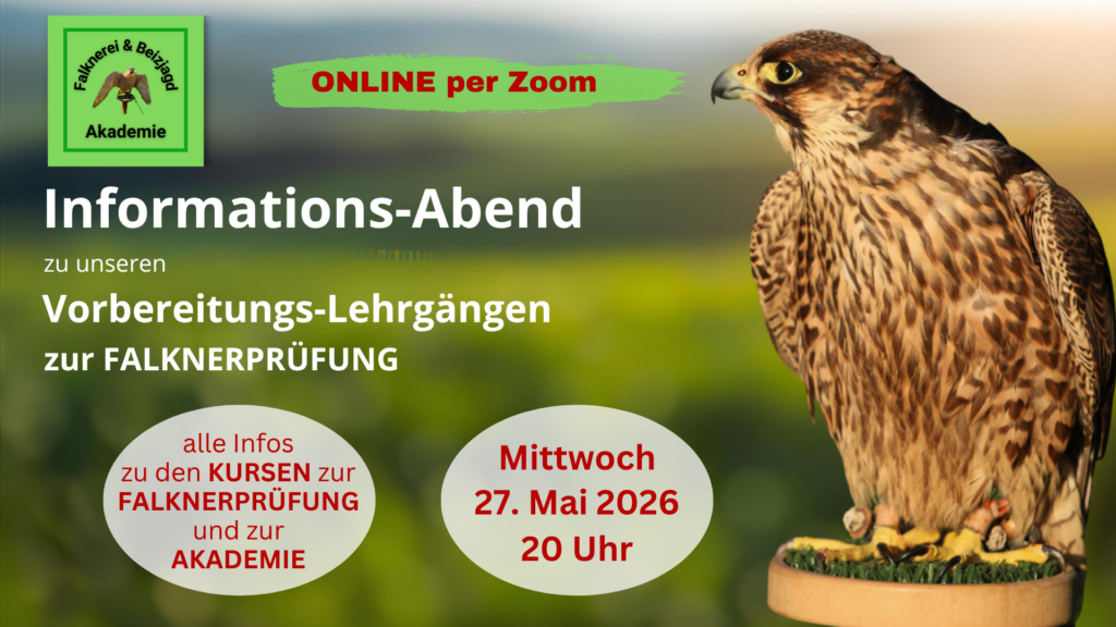 InfoAbend