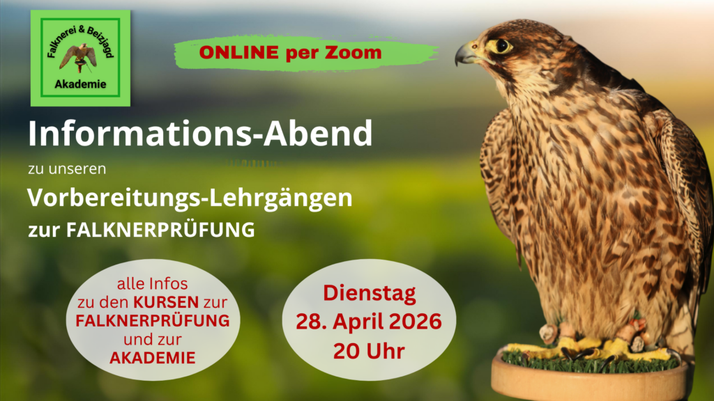 InfoAbend