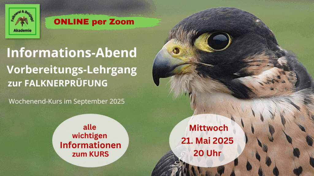 InfoAbend