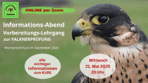 InfoAbend