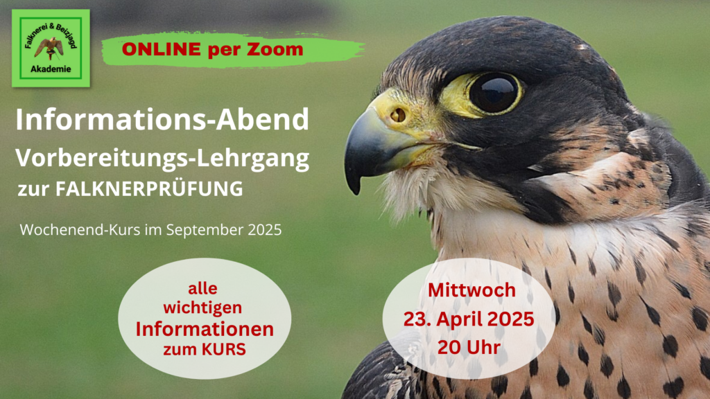 InfoAbend