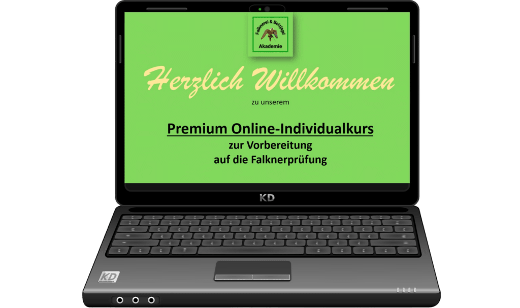 Premium Online-Individualkurs